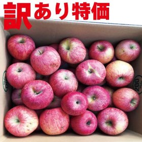 訳アリりんごを数量限定販売致します！